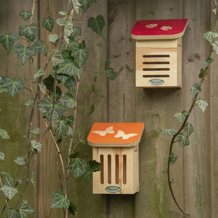 Immagine prodotto Esschert Design Casa delle farfalle, arancione (Farfalle)