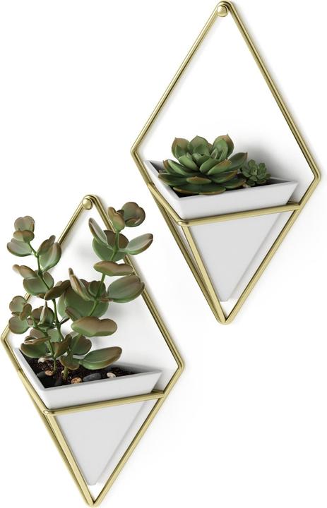 Produktbild Umbra Trigg (11.40 cm)