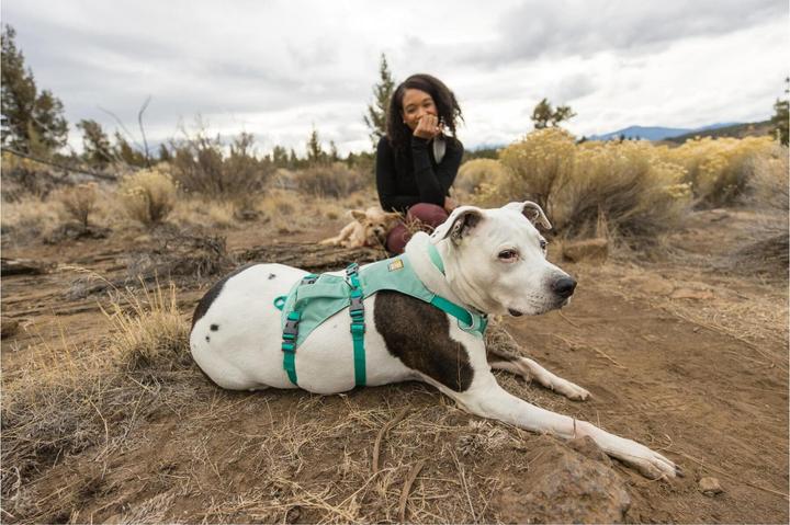 Image du produit Ruffwear Harnais Flagline (M, Chien, Général)