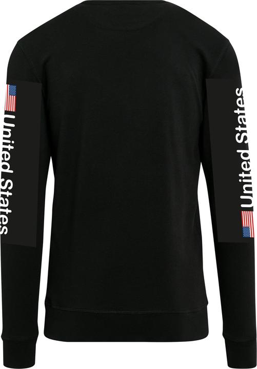 Actual product image Mister Tee NASA US Crewneck (XS)