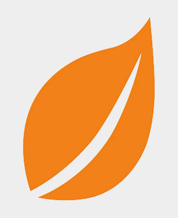 Actual product image Aladine IZINK Decorative acrylic paint (80 ml)