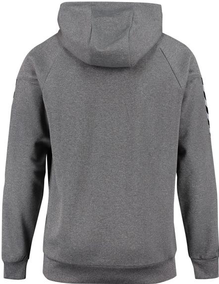 Produktbild hummel Authentic Charge Poly Hoodie (116)