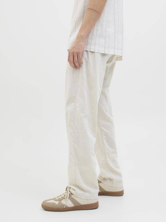 Actual product image Jack & Jones Jpstkane Jjsummer Jogger Sn (S)