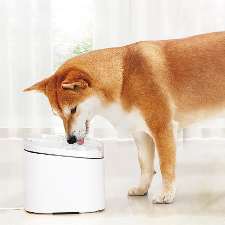 Actual product image Xiaomi Smart Pet (2 l)