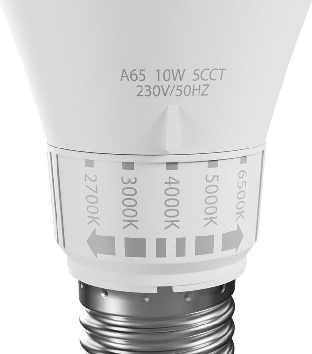 Produktbild ZAR.LED 10W E27 EINSTELLBARE GLOBE SPEKTRUM WOJ14715 (E27, 1100 lm)