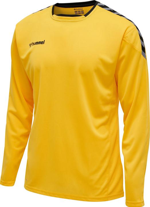 Image du produit hummel Authentic Poly Jersey L/S (M)