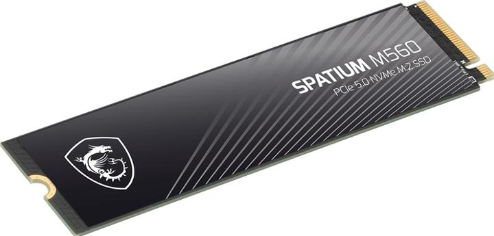 Actual product image MSI Spatium M560 (2000 GB, M.2 2280)