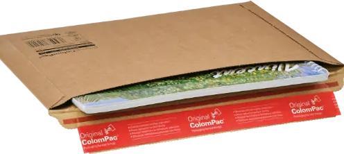 Immagine prodotto Colompac Buste a finestra cp01504 (20 x)