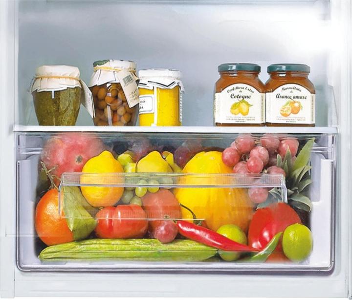 Actual product image Candy CTM516EW Built-in Double Door Refrigerator (242 l)