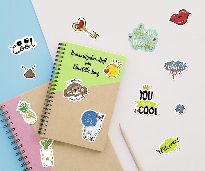 Actual product image Ursus Punched parts #Cool.5692-92-01F