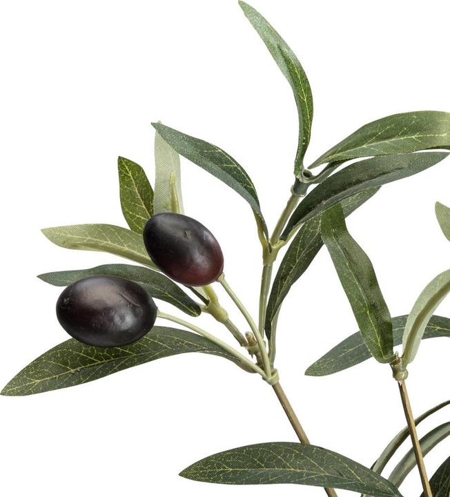 Immagine prodotto DPI Giardino