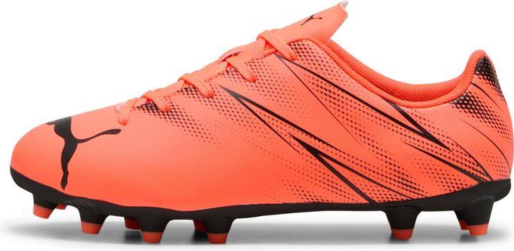 Actual product image Puma Attacanto FG/AG (37)