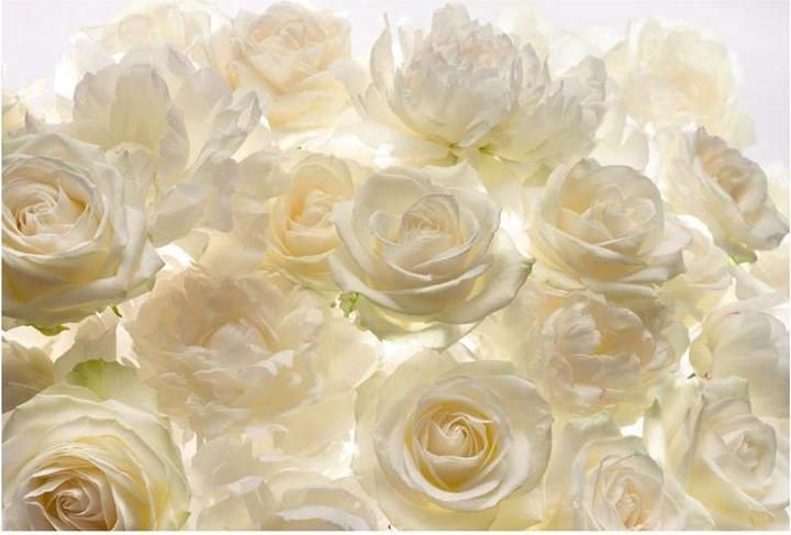 Komar Non-woven wallpaper Shalimar 368 x 248 cm (368 x 248 cm)