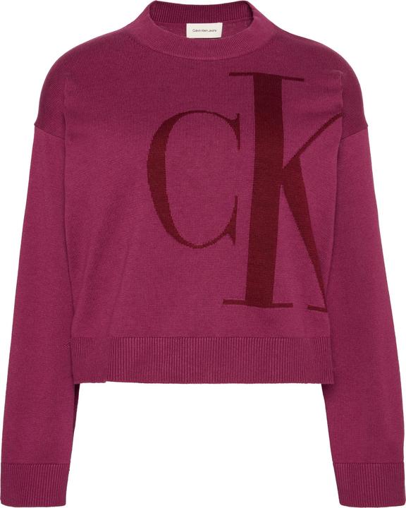 Produktbild Calvin Klein Langarm-Pullover aus glatter Baumwolle (L)