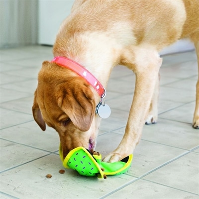 Image du produit KONG Ballistic Hide 'n Treat (Apporter, Jouet d'occupation chien)