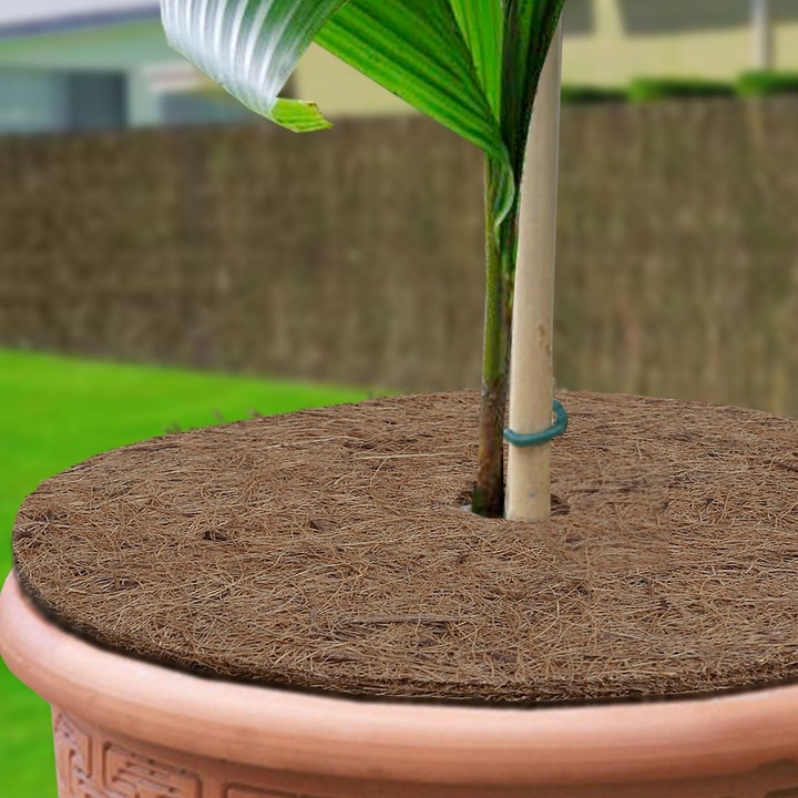 Produktbild Casa Pura Mulchscheiben