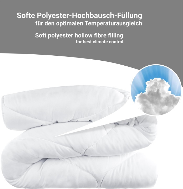 Produktbild Aspero 2 x Ganzjahresdecke CAEN - 9179 (3000 g, 200 x 200 cm)