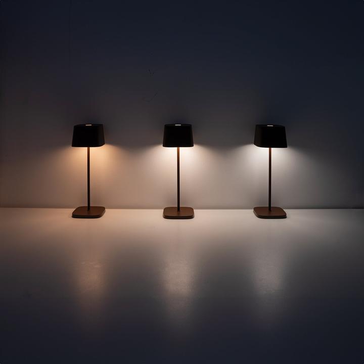 Image du produit Zafferano Ofelia Pro Corten