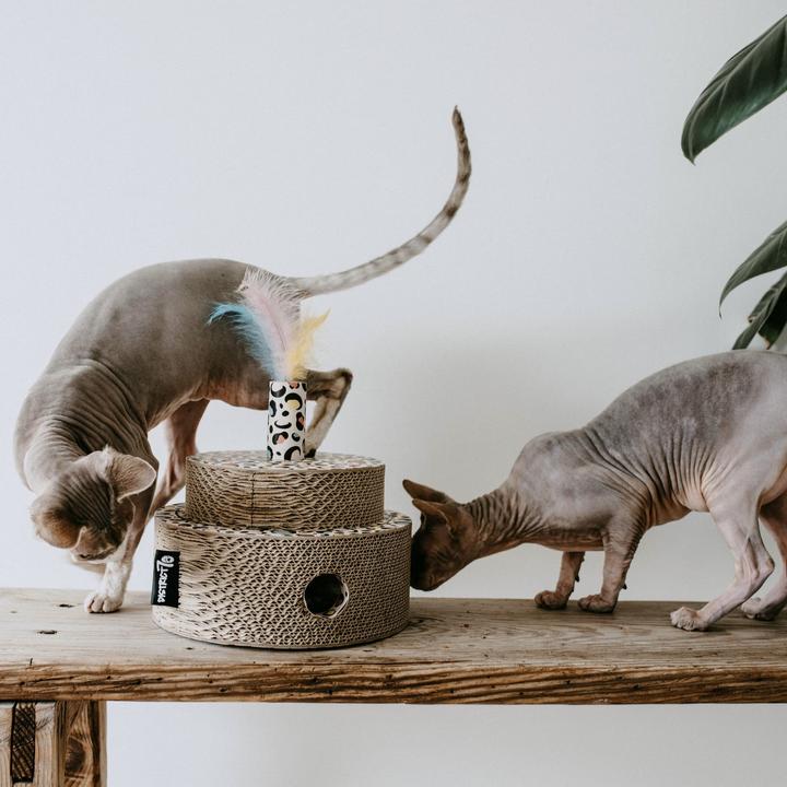 Produktbild District 70 Kratzpappe Fiesta, Schwarz (Kratzspielzeug Katze)