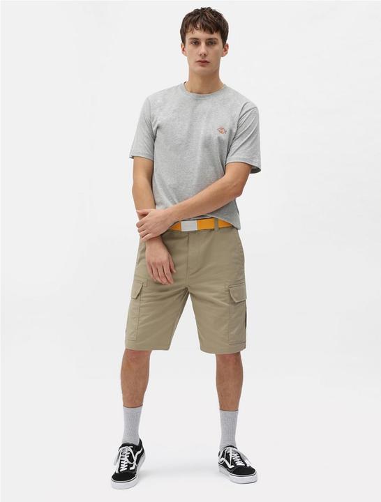 Image du produit Dickies T-Shirt Mapleton (S)