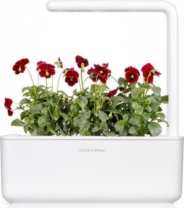 Actual product image Click and Grow Red Pansy Seeds 3-Pack