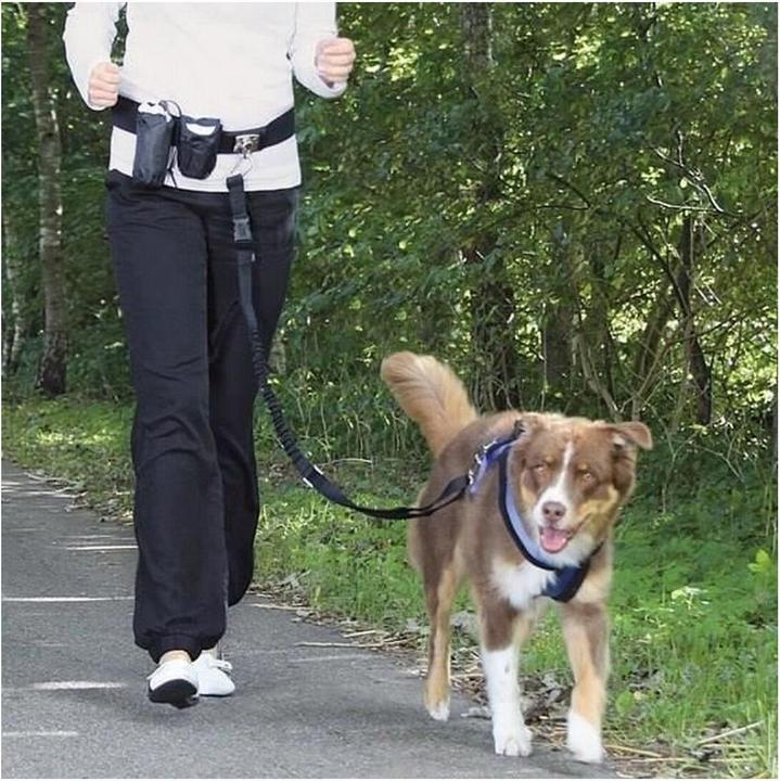 Actual product image Trixie Belly strap (Dog, Jogging)