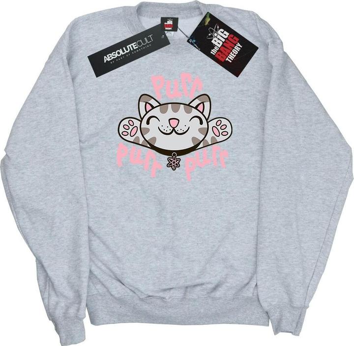 Produktbild Big Bang Theory Soft Kitty Purr Baumwoll Sweatshirt (M)