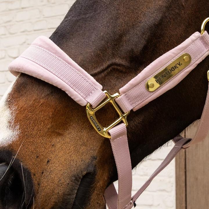 Immagine prodotto Kentucky Horsewear Cavezza in nylon