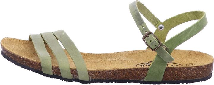 Image du produit Plakton 575080 PISTACIO (38)