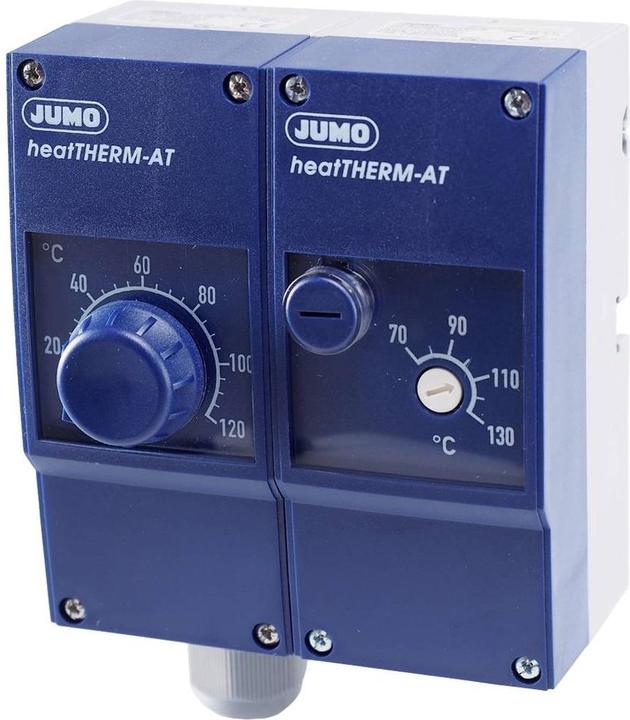 Actual product image Jumo 60003232