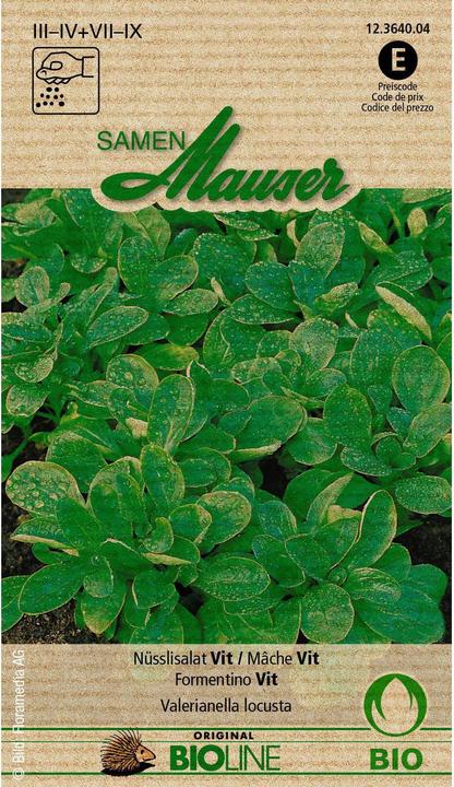 Image du produit Samen Mauser Salade de bourgeons de noix biologiques Vit (Graines de légumes)