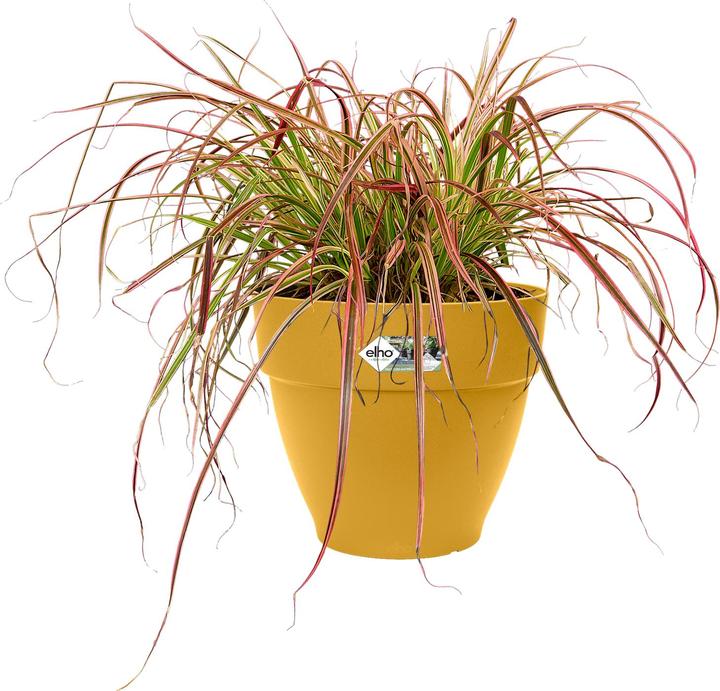 Produktbild Elho Vibia Campana (20 x 17 cm)