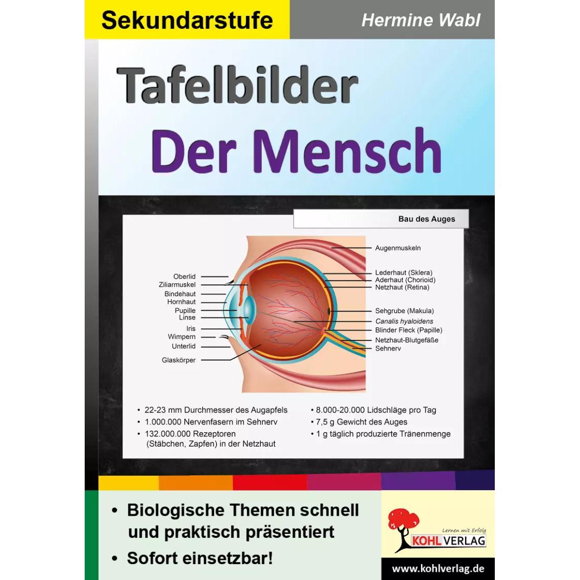 Tafelbilder Der Mensch, Schulbücher von Hermine Wabl