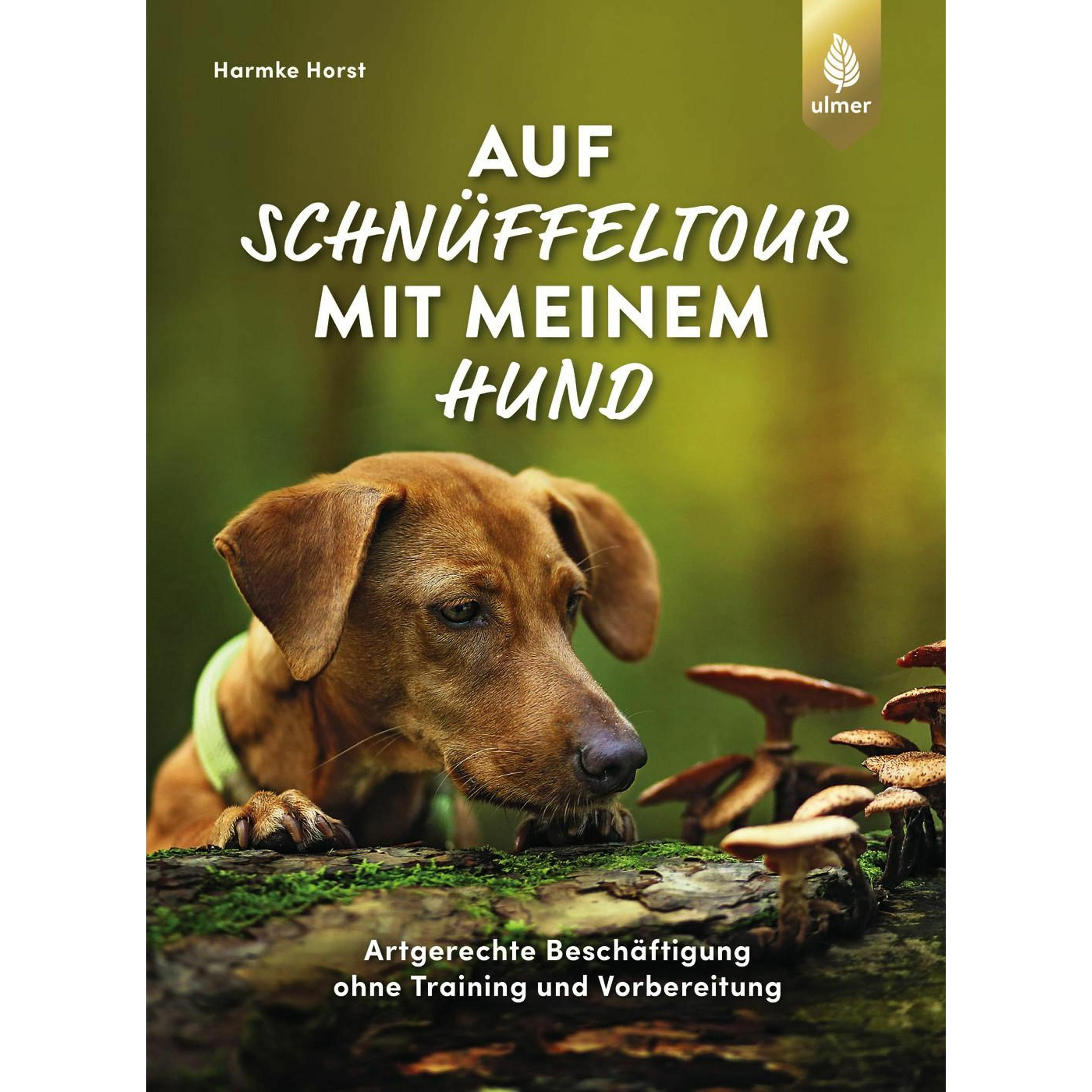 Auf Schnüffeltour mit meinem Hund, Ratgeber von Harmke Horst