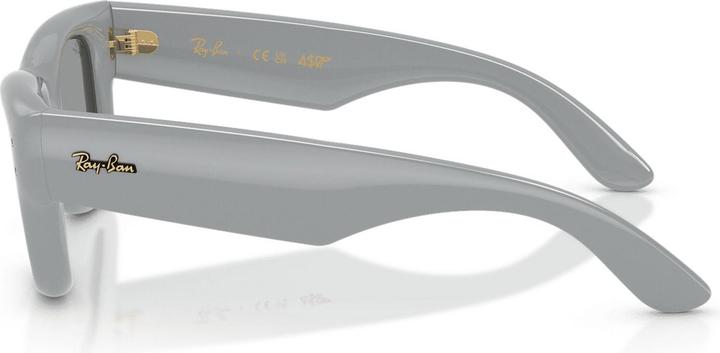 Actual product image Ray Ban Wayfarer buffer