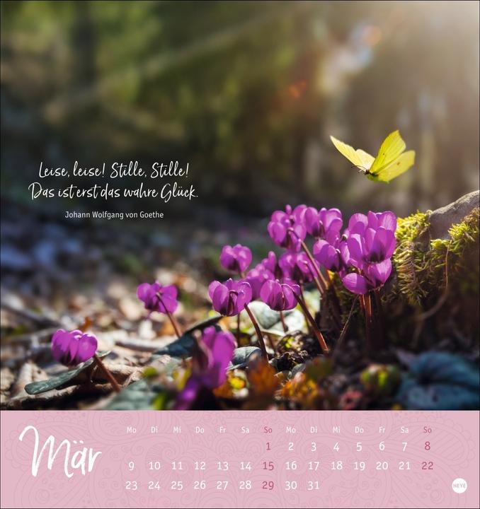Produktbild Stille Momente Postkartenkalender 2026 (Deutsch)