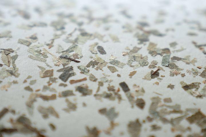 Actual product image EGLO Butterburn (E27)