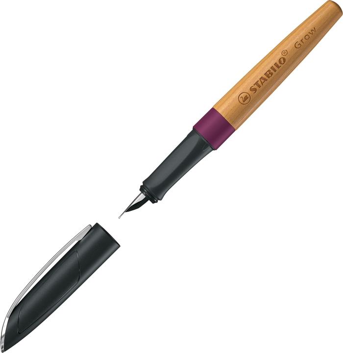 Actual product image STABILO Fountain pen Grow (Cherry, Plum, 1x)