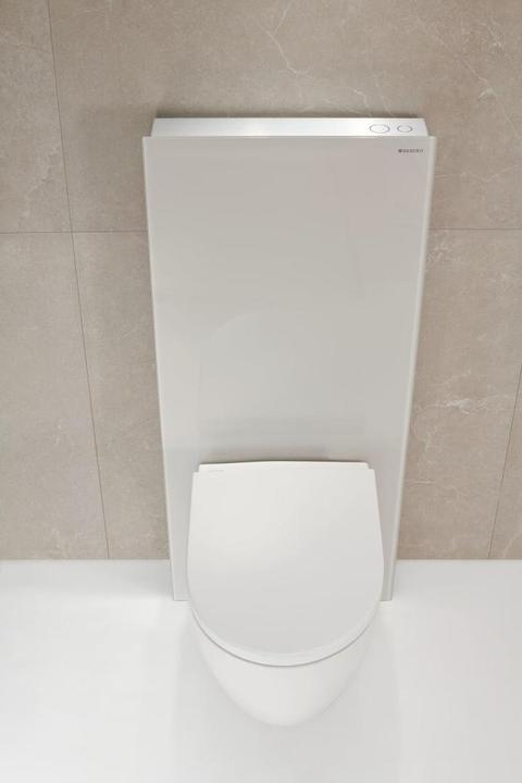 Actual product image Geberit Monolith PLUS sanitary module for wall-mounted toilet, 114cm, water connection center back