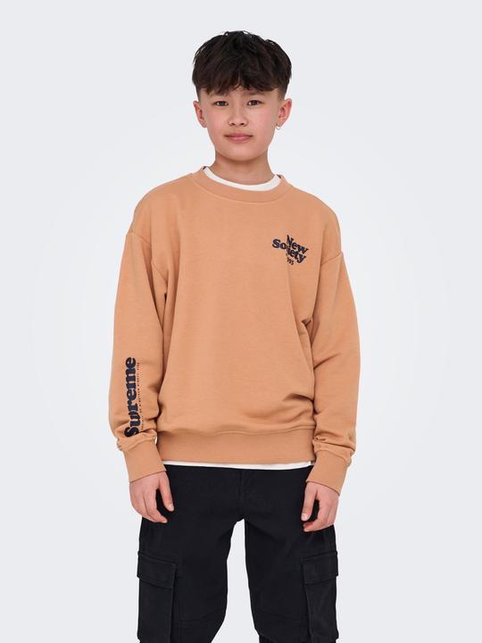 Image du produit Only & Sons Junior OSJTANNER Sweatshirt Sweatshirt (134)