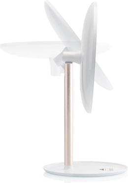 Actual product image ETA Fenité