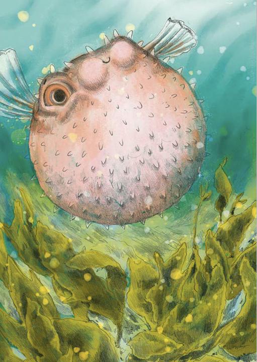 Actual product image Wonderful world of animals in the sea - read by Jakob Graf (Chae Strathie, German)