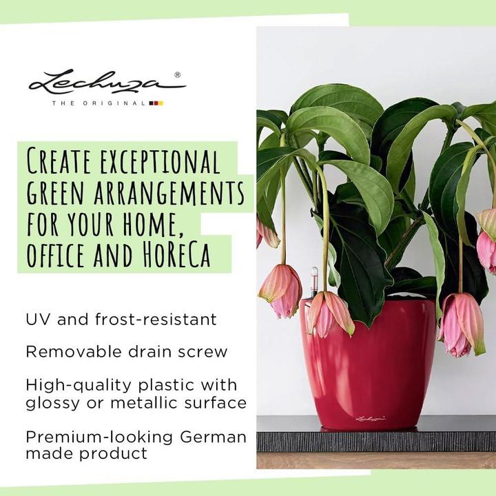 Image du produit Lechuza Classico (43.50 x 39.50 cm)