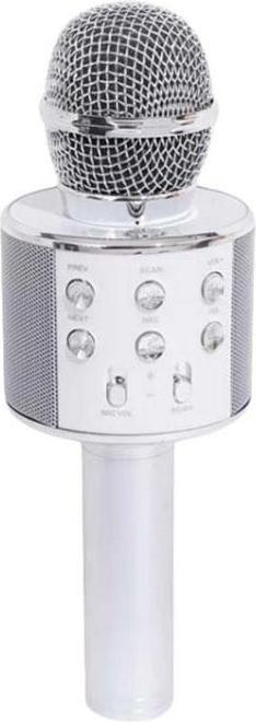 Actual product image TOP Karaoke microphone