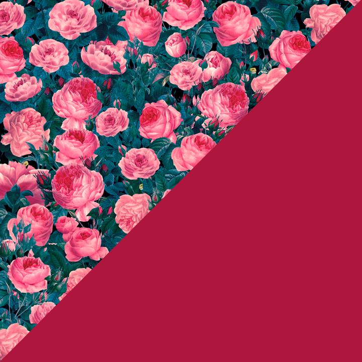 Produktbild Cricut Aufbügelfolie Infusible Ink Cabbage