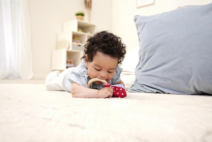 Image du produit Eichhorn Bébé, starter/cadeau