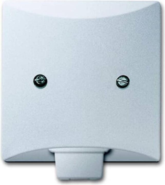 Actual product image Busch-Jaeger Central disc with support ring 2CKA001710A3798