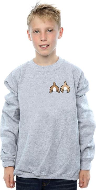 Image du produit Disney - Sweat CHIP N DALE BACKSIDE BREAST PRINT - Garçon (116)
