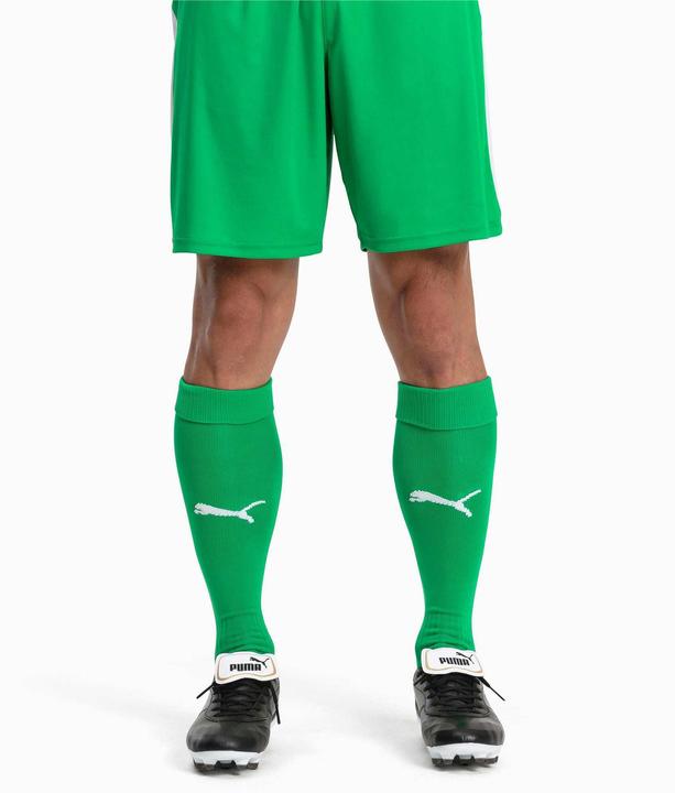 Productafbeelding Puma Team LIGA Sokken CORE-703441 (35 - 38)