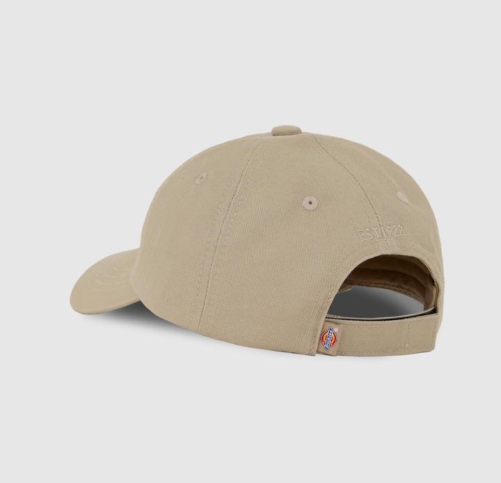 Actual product image Dickies Hardwick Cap K